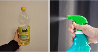 Detergente multiuso a base di aceto: puoi farlo in casa e utilizzarlo in moltissimi modi