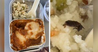 Passagier findet Kakerlake im Essen, aber die Fluggesellschaft verteidigt sich: Es ist sautierter Ingwer