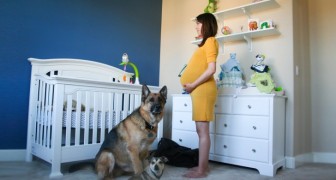 A pregnant girl is standing in the middle of the room: what happens around her is amazing !