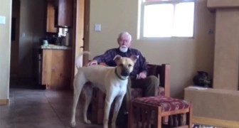 This man has Alzheimer's, and speaks with difficulty, but look what happens when he sees the dog ...