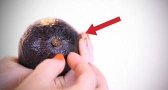 Find out how to recognize if an avocado is ripe or not. It's incredibly easy!