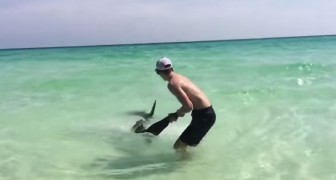 Un ragazzo trascina a riva uno squalo, ma il motivo per cui lo fa merita un applauso!