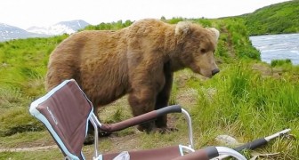 They are eating at a campsite, but SOMEONE joins them and leaves them speechless