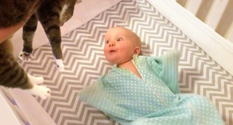 Mom comes in the room with the cat in her arms. The reaction of this newborn baby? ADORABLE