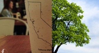 Bicchieri da caffè biodegradabili con semi incorporati: quando li getti via, diventano alberi