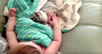 La mama lo toma mientras duerme, pero cuando se despierta es incluso mejor!