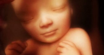 9 Monate Schwangerschaft in vier Minuten: Hier das Video, das auch das Wunder des Lebens offenbart