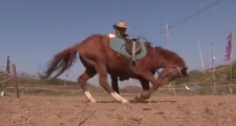 Le cheval a décidé qu'il ne voulait pas être monté : sa réaction est incroyable