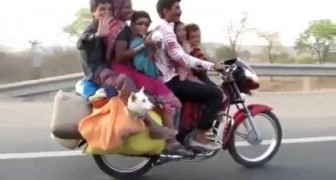 Eine glückliche Familie auf dem Motorrad...
