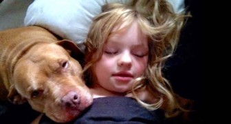 Dit meisje is autistisch: haar pitbull begrijpt haar zoals niemand anders op de wereld haar begrijpt