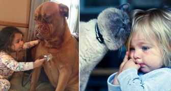 25 foto's die elke ouder met jonge kinderen kunnen overtuigen om een huisdier te adopteren