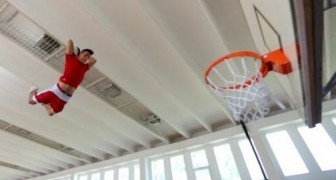 Basket, dunk et spectacle