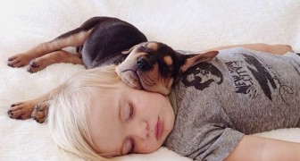 5 buoni motivi per condividere il letto con il cane... con le adeguate accortezze!
