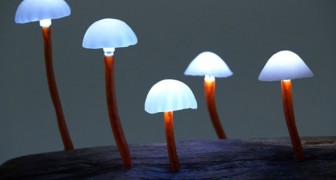Queste straordinarie lampade LED trasformano la tua casa in una foresta incantata