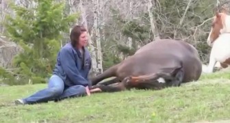 Just sit on the ground next to a horse ... What happens next will immediately take your breath away!