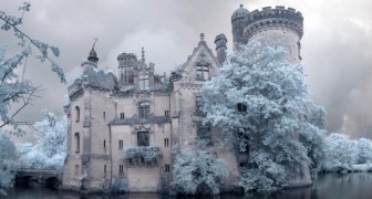 Naturen tar tillbaks ett underbart kungligt slott i Frankrike, och resultatet är magiskt