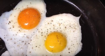 Only one of the two eggs came from a free range farm -- Can you tell which one?