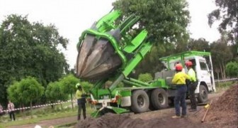 Como tranplantar un árbol en Australia