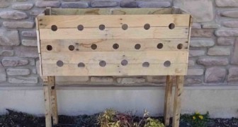 Make 19 holes in the sides of a wooden planter box -- Enjoy the colorful show five months later! 