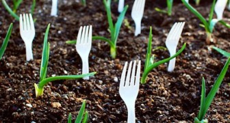 Jardinage sans problème: 11 astuces originales qui vous seront utiles