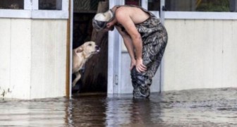 Een man ziet een hond die in de steek is gelaten tijdens een overstroming: de ontmoeting verandert hun levens