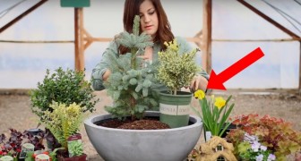 En tjej sätter några växter i en vas ... Det slutliga resultatet är helt magiskt