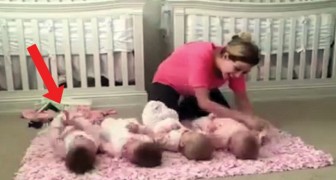 A mother lays her quadruplets on the floor! --- Keep an eye on the one on the left! Hilarious!