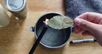 Voici les avantages de brûler des feuilles de laurier. À essayer pour le croire!