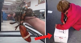 Hon köper en levande hummer i en fiskaffär ... men ingen förväntade sig att hon skulle göra det här