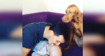 Elke keer als deze papa zijn zoontje kust, reageert de hond hier heel schattig op! 