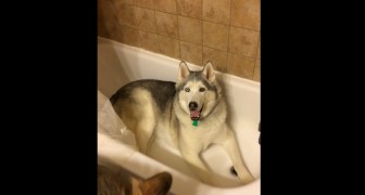 She tells him to get out of the bathtub --- but he asks for something in return!