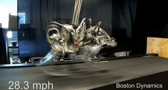 Le robot le plis rapide de Usain Bolt