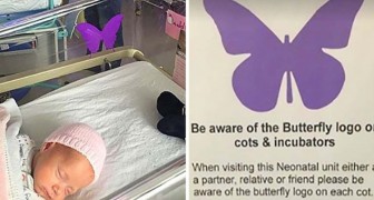 Hai mai visto un adesivo a forma di farfalla vicino ad un neonato? Ecco cosa sta a significare