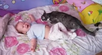 El bebè esta desesperado llorando sobre la cama: miren como el gato llega para calmarlo...