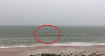 During a storm on a beach --- keep your eye on the incoming wave!