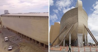 Sie bauen die Arche Noah nach biblischen Fakten nach: Das Resultat ist episch