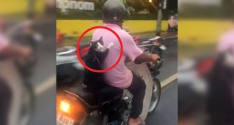 Sie filmen einen Motorradfahrer mit einem besonderen Passagier... Lasst euch nicht seinen Ausdruck entgehen! 