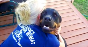A lady begins to cuddle her dog --- his reaction is as sweet as . . . unexpected!