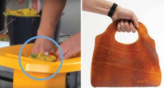 Produrre borse con gli scarti della frutta: il progetto di 2 neo-laureati contro lo spreco alimentare