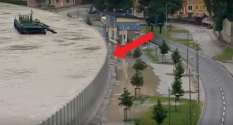 Mobile Anti-Flood walls save a city!