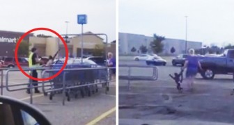 A monkey wearing a diaper appears in a parking lot --- a sad reality!