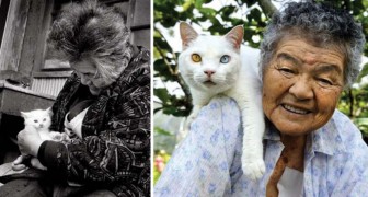 Un'anziana trova un gatto in fin di vita: ecco le immagini da sogno scattate dalla nipote