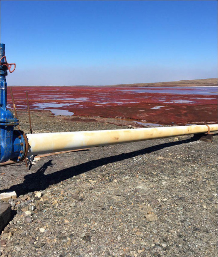 En plus des problèmes communs d'asthme de la population locale, voilà maintenant la rivière Daldykan s'est teinte complètement de rouge en raison, très probablement, des niveaux élevés de nickel qui proviennent de l'usine Nadezhda Metallurgical Plant.