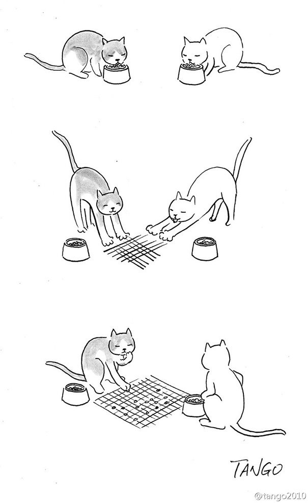 Jeux de chats