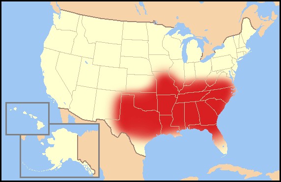 1. In alcuni degli Stati Unit del Sud (Maryland, Arkansas, Mississippi, North Carolina, South Carolina, Tennessee e Texas) è fatto divieto ad atei e agnostici di ricoprire cariche pubbliche.