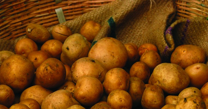 9. Nella regione occidentale dell'Australia è illegale tenere in casa più di 50 kg di patate (legge del 1946).