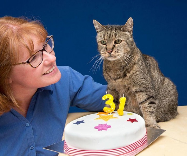 Quando lo tolsero dalla strada nel 1990, il veterinario disse a Ian e Liz Finlay che il gatto doveva avere già circa 5 anni.