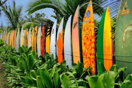 10. Als je dol bent op surfen, verzamel dan surfborden!