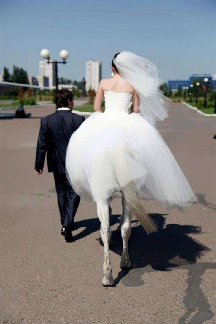 1. Eine Hochzeit mit einer ganz besonderen Braut.