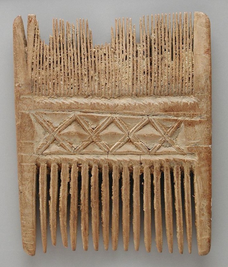 Il y a environ 30 ans, les deux experts examinaient un peigne à cheveux datant du premier siècle après Jésus-Christ trouvé en Cisjordanie.